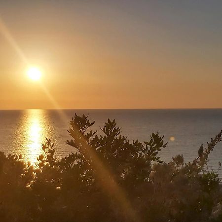 Casa Mela Διαμέρισμα Castelsardo Εξωτερικό φωτογραφία